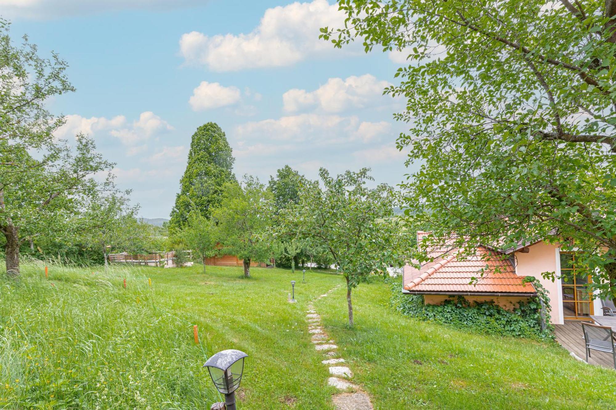 House Na Meji With Sauna - Happy Rentals Pivka Exterior photo