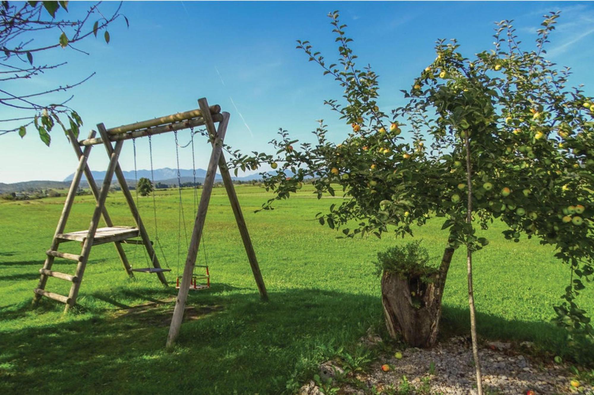 House Na Meji With Sauna - Happy Rentals Pivka Exterior photo